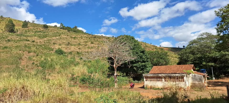🏡🌿 IMPERDÍVEL! SÍTIO DE 3,5 ALQUEIRES 🌿🏡